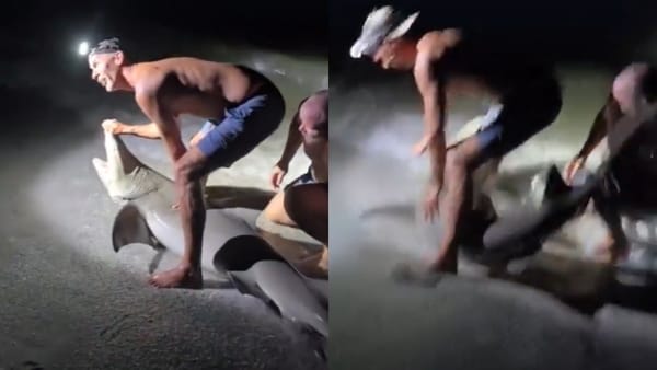 Este es el momento en que un pescador fue mordido por un tiburón en Estados Unidos
