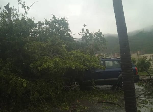 ANZOÁTEGUI | Árbol cayó sobre un vehículo tras fuertes lluvias en Barcelona