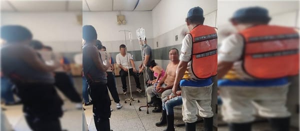 Al menos 13 personas resultaron heridas tras el ataque de un enjambre de abejas en Táchira