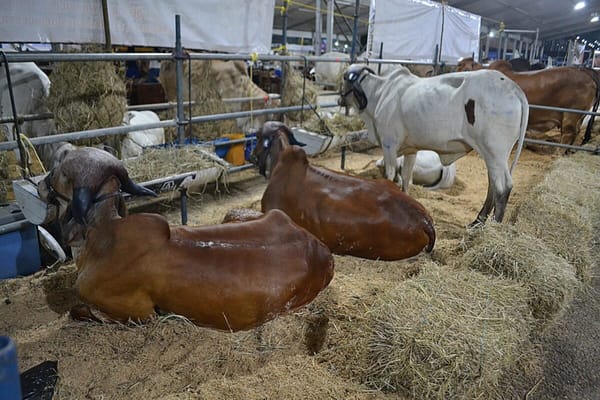 MONAGAS | Monagas Expo Agroindustrial 2025 se celebrará el próximo mes de noviembre