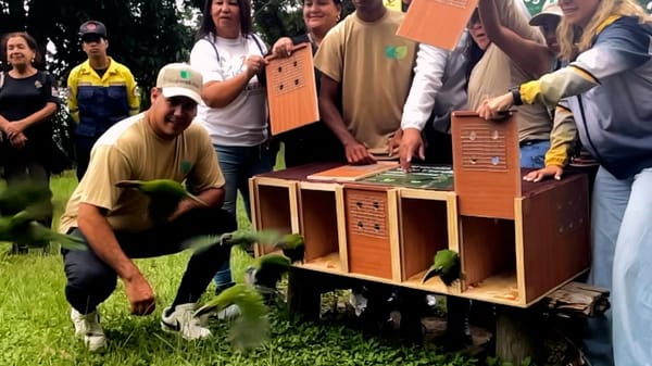 Liberan especies silvestres rehabilitadas en el Parque Nacional Waraira Repano