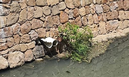 Perro atrapado en un canal de aguas negras fue rescatado en Lechería