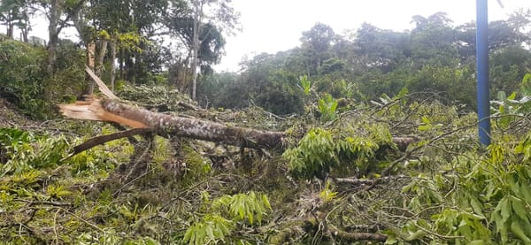 MONAGAS | Persisten fallas eléctricas en la zona alta de Caripe tras paso de la Onda Tropical N° 30