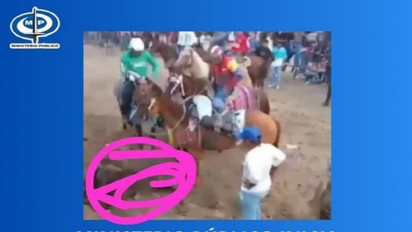 Ministerio Público abrió investigación por maltrato animal contra un toro en las ferias de Tintorero