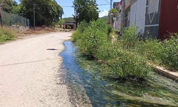 SUCRE | Contaminación por aguas servidas afecta a familias de Brisas de Pantanillo