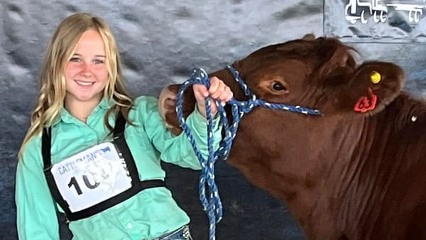 Padre mató accidentalmente a su hija tras disparar a un pájaro en Estados Unidos