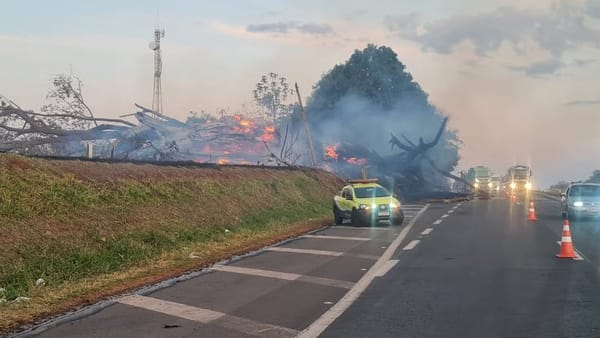 Luego de su luna de miel: Músico falleció tras caer un árbol en llamas sobre su vehículo
