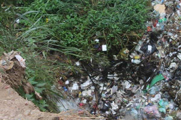 MONAGAS | Basura y plagas afectan a más de 40 vecinos del sector Araguaney II de Maturín