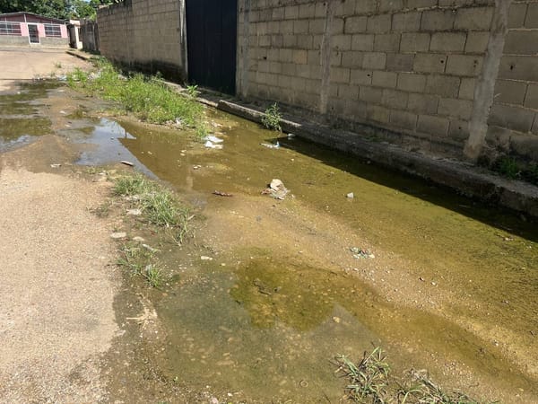 MONAGAS | Bote de aguas blancas afecta desde hace dos meses a vecinos de Morichal