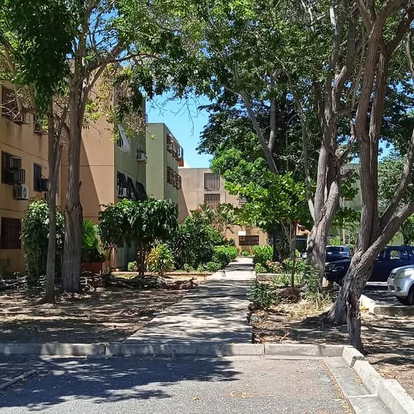 SUCRE | Vecinos de la urb. Gran Mariscal de Ayacucho denunciaron presunto maltrato animal