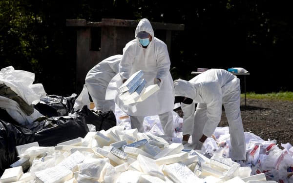 Incineraron más de una tonelada de cocaína en República Dominicana