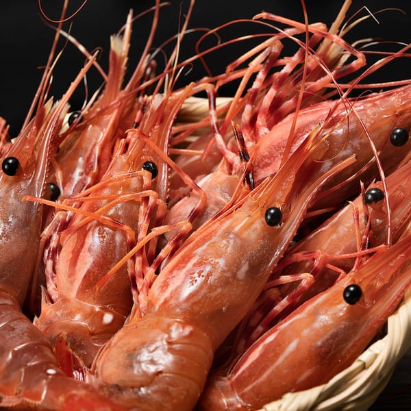 El camarón se convirtió en el segundo producto más exportado de Venezuela