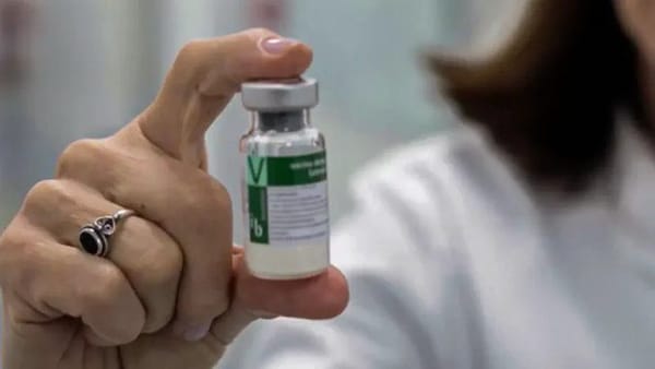 Crearon una vacuna de dosis única contra el dengue en Brasil