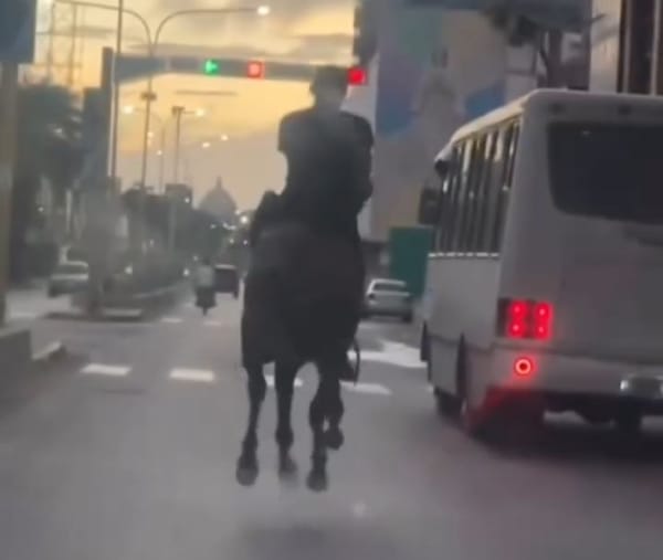 Jinete resultó gravemente herido tras chocar con vehículo en la avenida 4 de Mayo