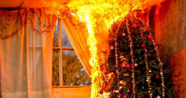 Hombre y su perro murieron tras incendiarse en árbol de navidad en Puerto la Cruz