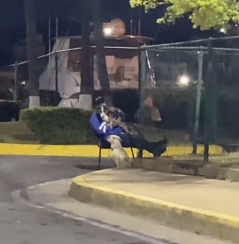 Tierna amistad: vigilante conquistó las redes tras ser grabado junto a su perro en Lechería