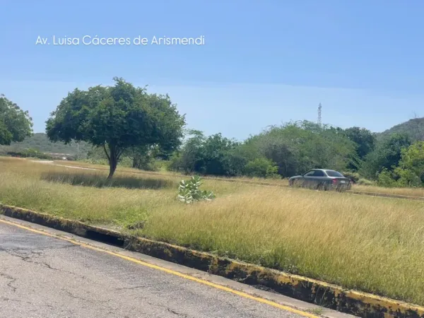 NUEVA ESPARTA | Habitantes de Maneiro exigieron desmalezamiento y limpieza de avenidas