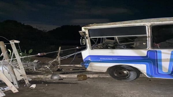 Buseta impactó contra un poste de luz y dejó varios heridos y una mascota fallecida en Vigirima