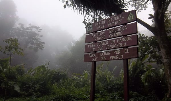 Controlaron incendio en el Parque Nacional Henri Pittier tras afectar 27 hectáreas
