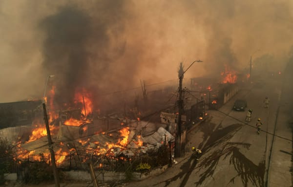 Emergencia en Chile: 19 muertos y 1.500 damnificados por incendios forestales