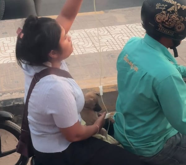 Mujer conmovió las redes al trasladar a su perro con suero en una motocicleta
