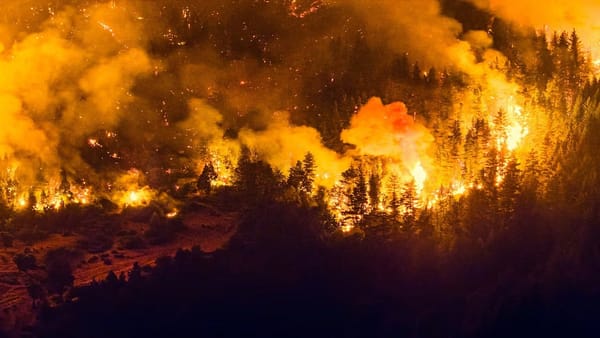 Incendio forestal arrasó más de 11 mil hectáreas en Chubut, Argentina