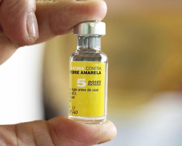 Organizaciones alertan sobre «inicio de epidemia» de fiebre amarilla y exigen acciones urgentes