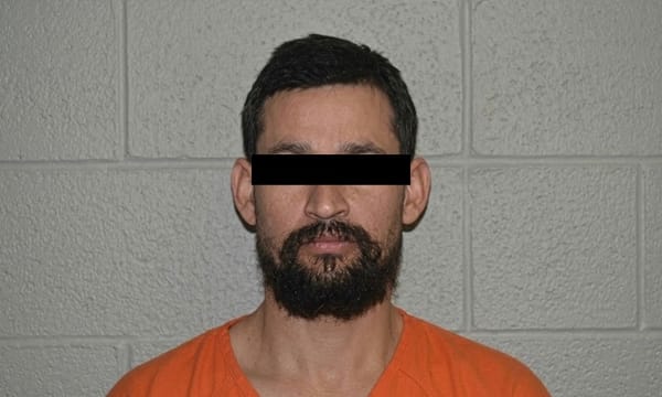 ICE solicitó orden de deportación contra venezolano detenido por abus4r de su hijastra en EE. UU.