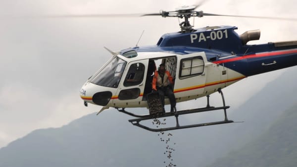 Lanzaron más de 20 mil bombas de semillas de araguaney en el Parque Nacional Henri Pittier