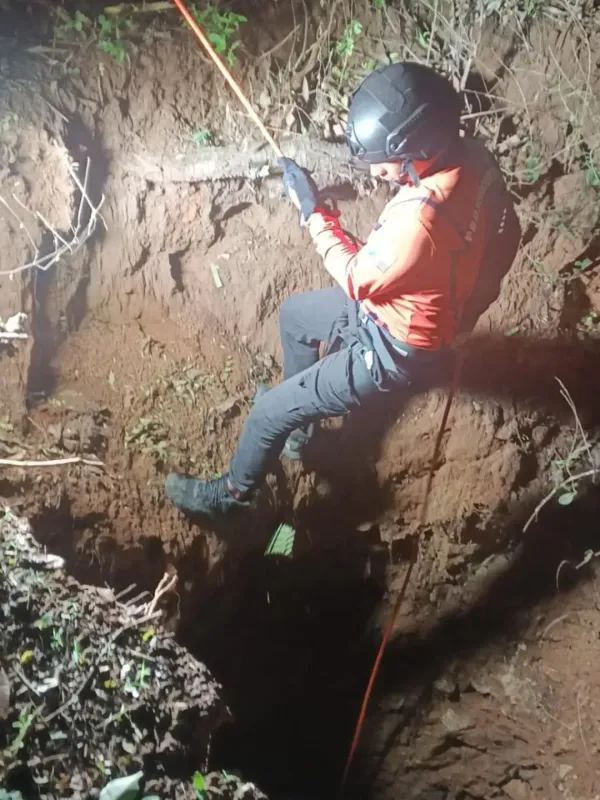 Protección Civil rescató a dos caninos atrapados en un pozo en Nueva Esparta