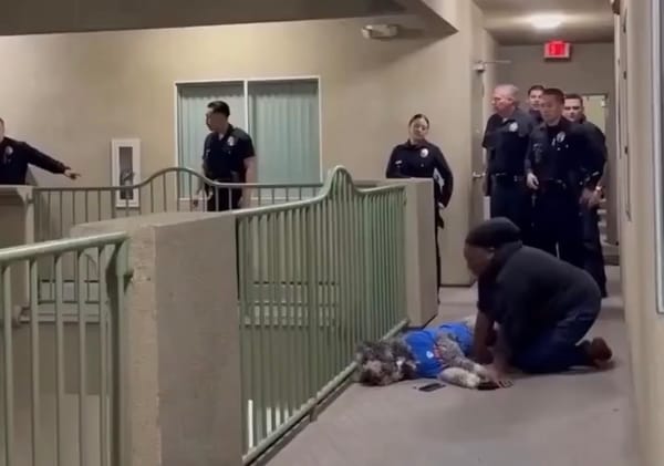 Policía de Los Ángeles atendió una queja vecinal y terminó matando a tiros al perro de una familia