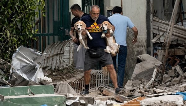 Solicitan donaciones para atender a mascotas refugiadas en el Parque del Este tras terremotos