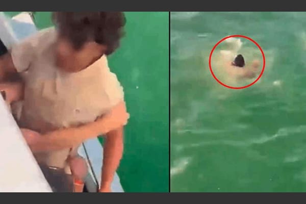 Conmoción en Colombia: joven murió tras caer de un bote mientras era agredido