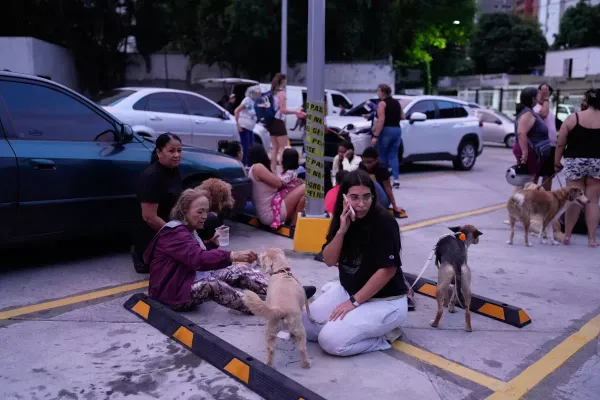Crearon una página para reportar a mascotas desaparecidas por terremoto