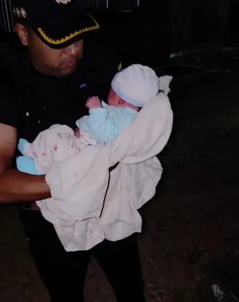 Autoridades rescataron a un recién nacido abandonado en una zona boscosa de Aragua