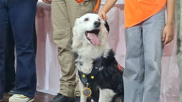 Aragua condecoró 12 perros rescatista por su labor en las operaciones de La Guaira