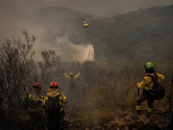 Más de 11.500 personas fueron evacuadas por incendios forestales en España