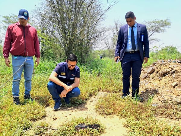 ANZOÁTEGUI | Iniciaron investigación por agresión contra oso melero en Anzoátegui