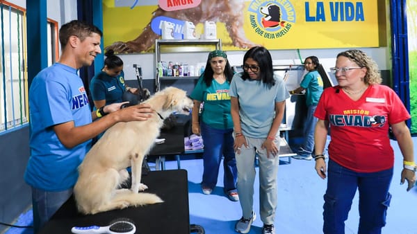 Gobierno inauguró albergue de Misión Nevado para animales rescatados en Caracas