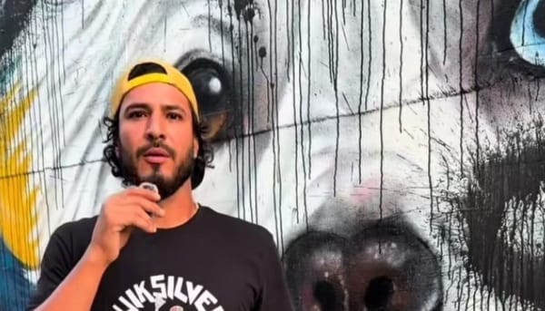 Mural en honor a Tsunami volvió a ser vandalizado: artista denunció «ataque sistemático» contra sus obras