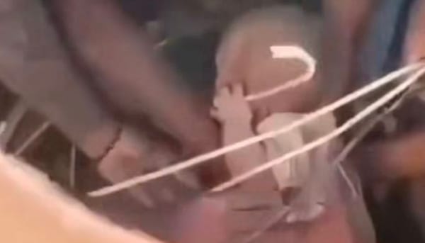 Bebé y su madre fueron sacados con vida de un edificio tras terremoto en Colombia