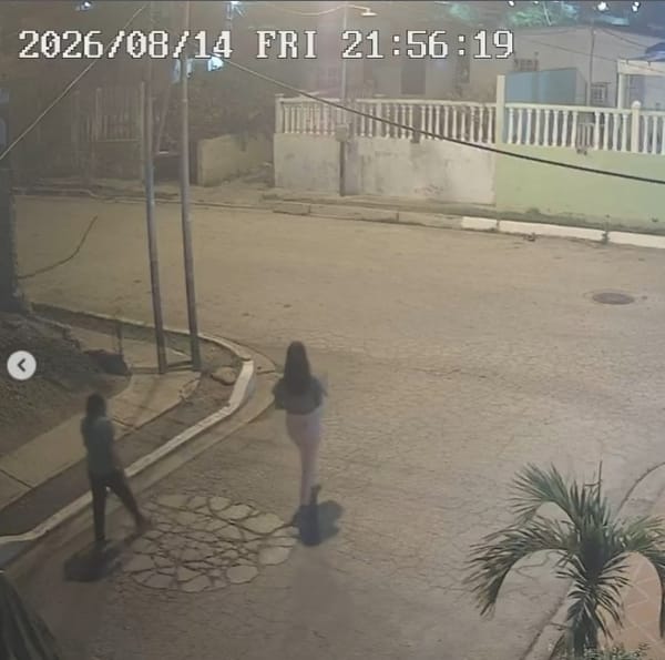 Salieron a la luz nuevas imágenes relacionadas a envenenamiento de animales en Margarita