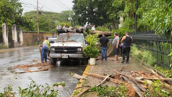 Lluvias dejaron árboles caídos, calles inundadas y fuertes vientos en Lara