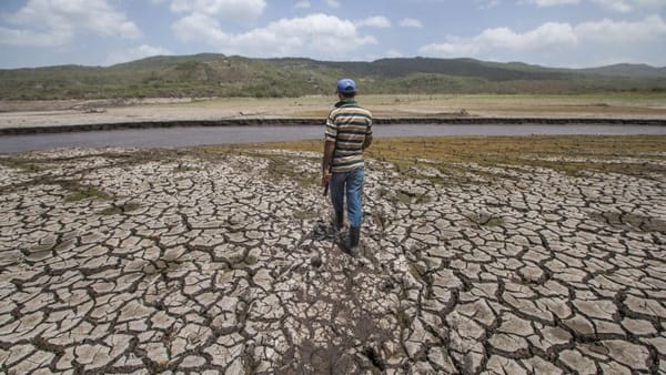 Efectos del fenómeno El Niño podrían extenderse hasta marzo de 2027 en Venezuela
