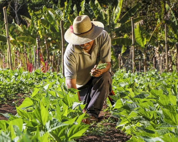 Gremios piden destinar recursos del acuerdo petrolero con EE.UU. a la producción agropecuaria