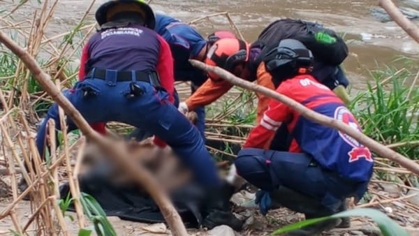 Localizaron un cadáver en el río Guaire: evalúan si es uno de los desaparecidos en Los Teques