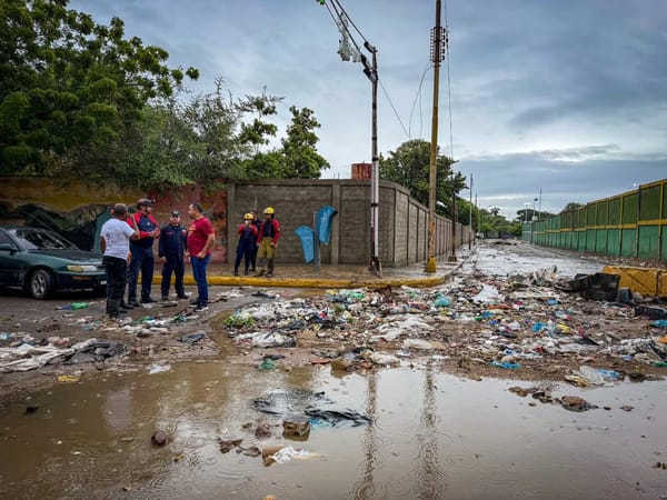 SUCRE | Lluvias en Cumaná dejaron dos árboles caídos, calles anegadas y comunidades sin luz