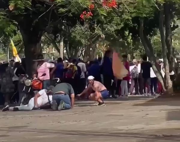 Enjambre de abejas atacó a peatones y motorizados en Margarita