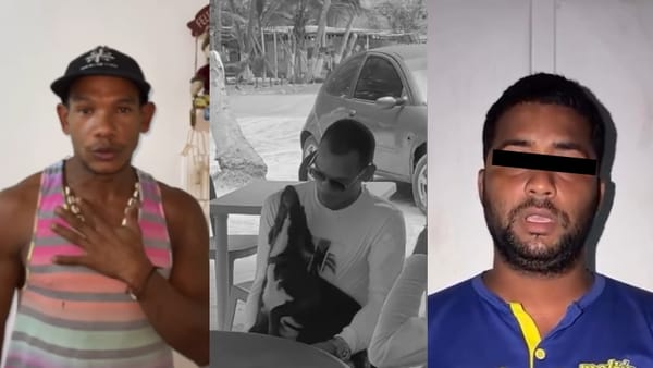 Muerte de un perrito arrollado causó indignación en Aragua: detuvieron al presunto responsable