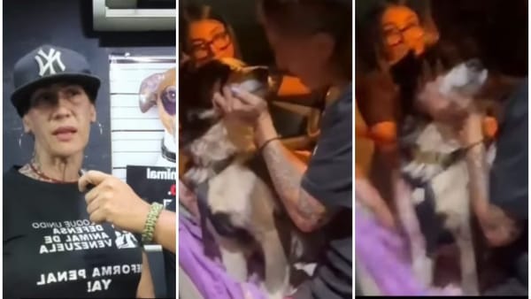 Denuncian presunta crueldad animal en Caracas: perro ciego fue sacrificado tres días después de ser adoptado